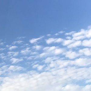 Meet your Posher, Nour